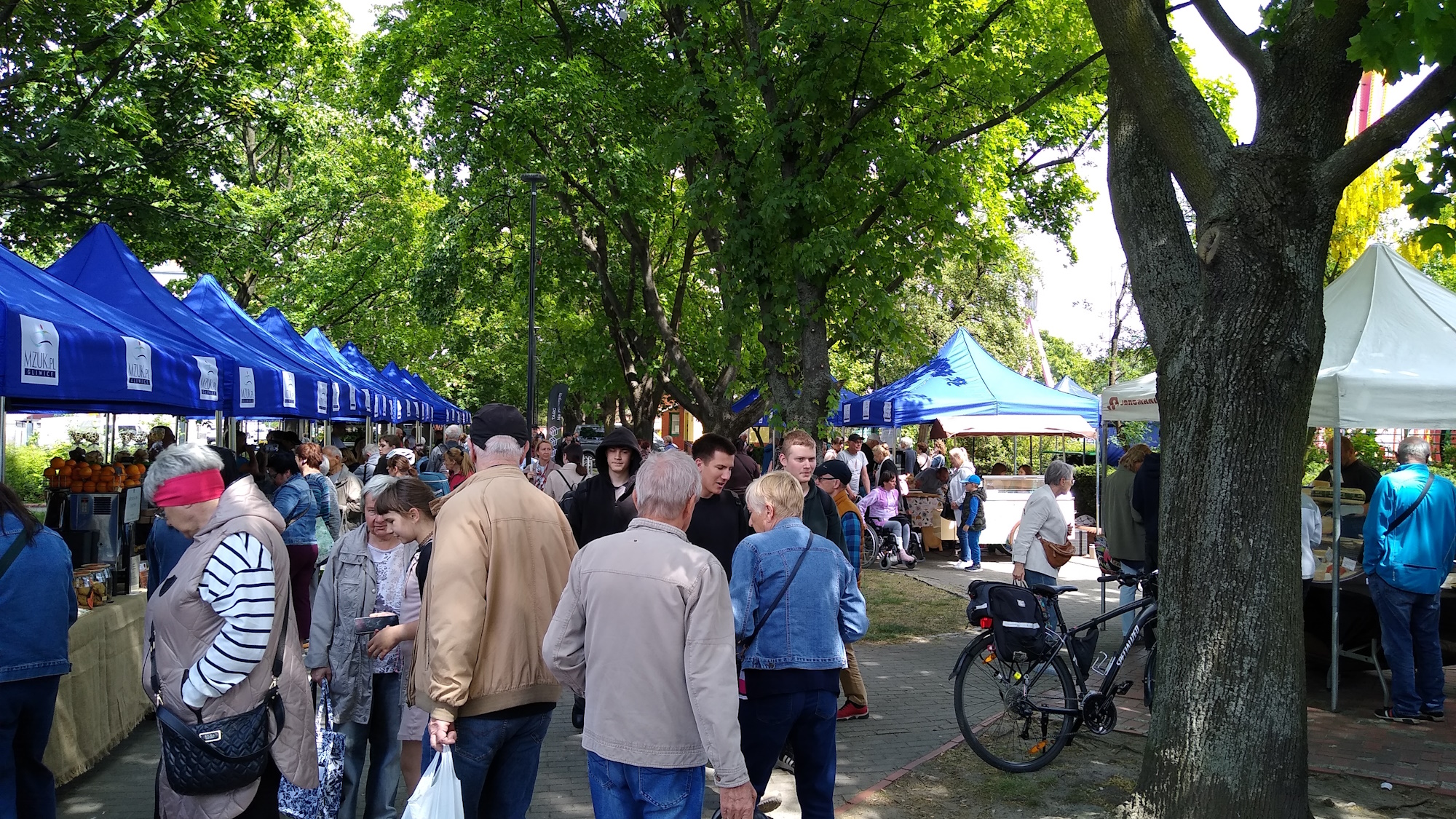 Fot. M.Foltyn/UM Gliwice ludzie na targowisku
