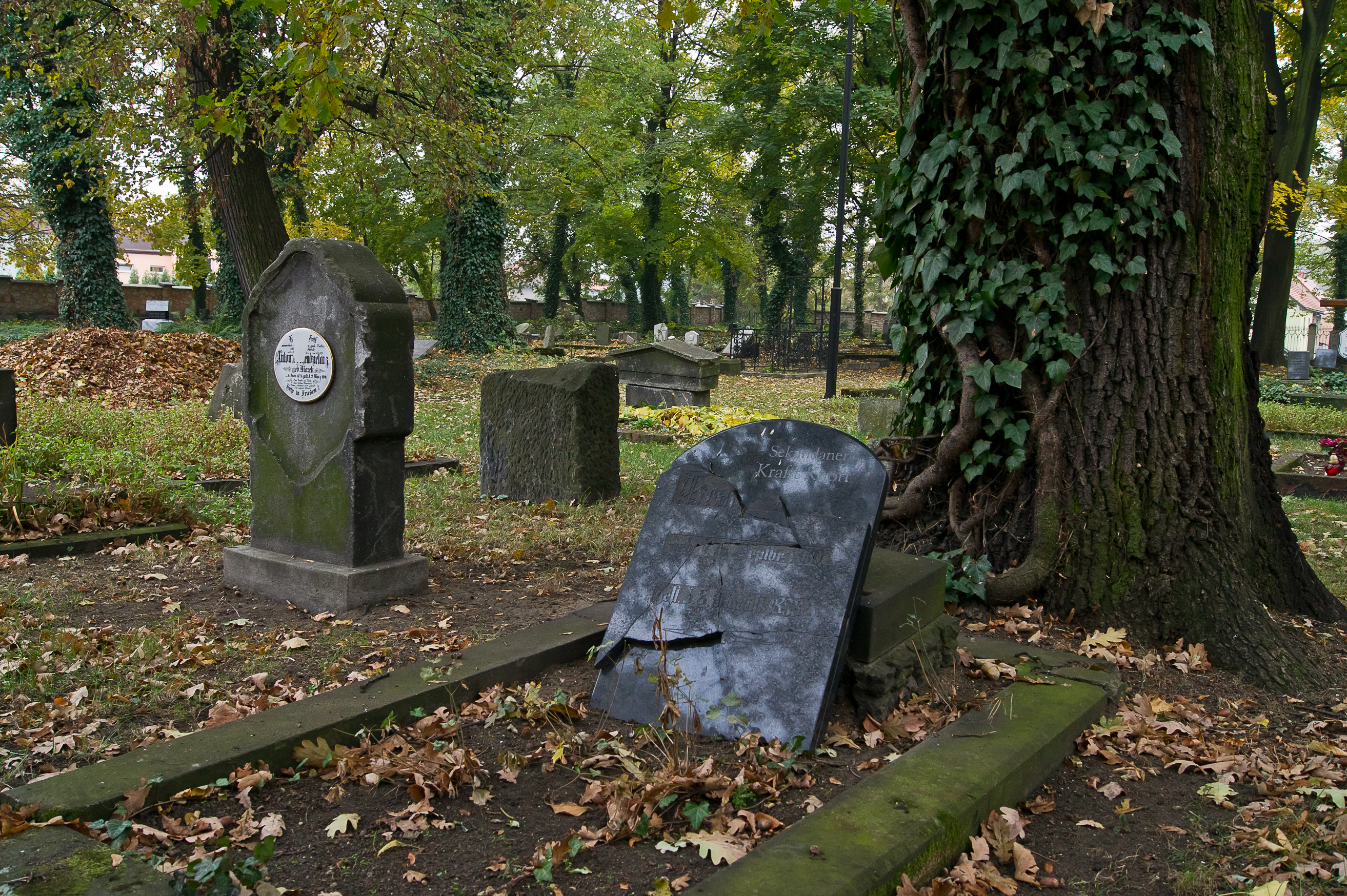 Cmentarz Hutniczy