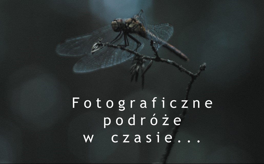 Środowiskowy Dom Samopomocy zaprasza na wystawę „Fotograficzne podróże w czasie”