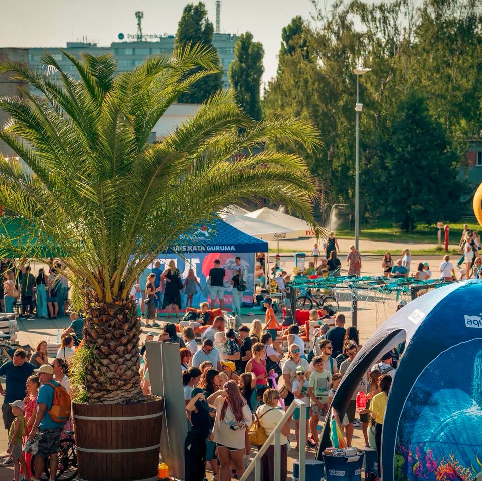 Ludzie przy palmie przed PreZero Areną Gliwice