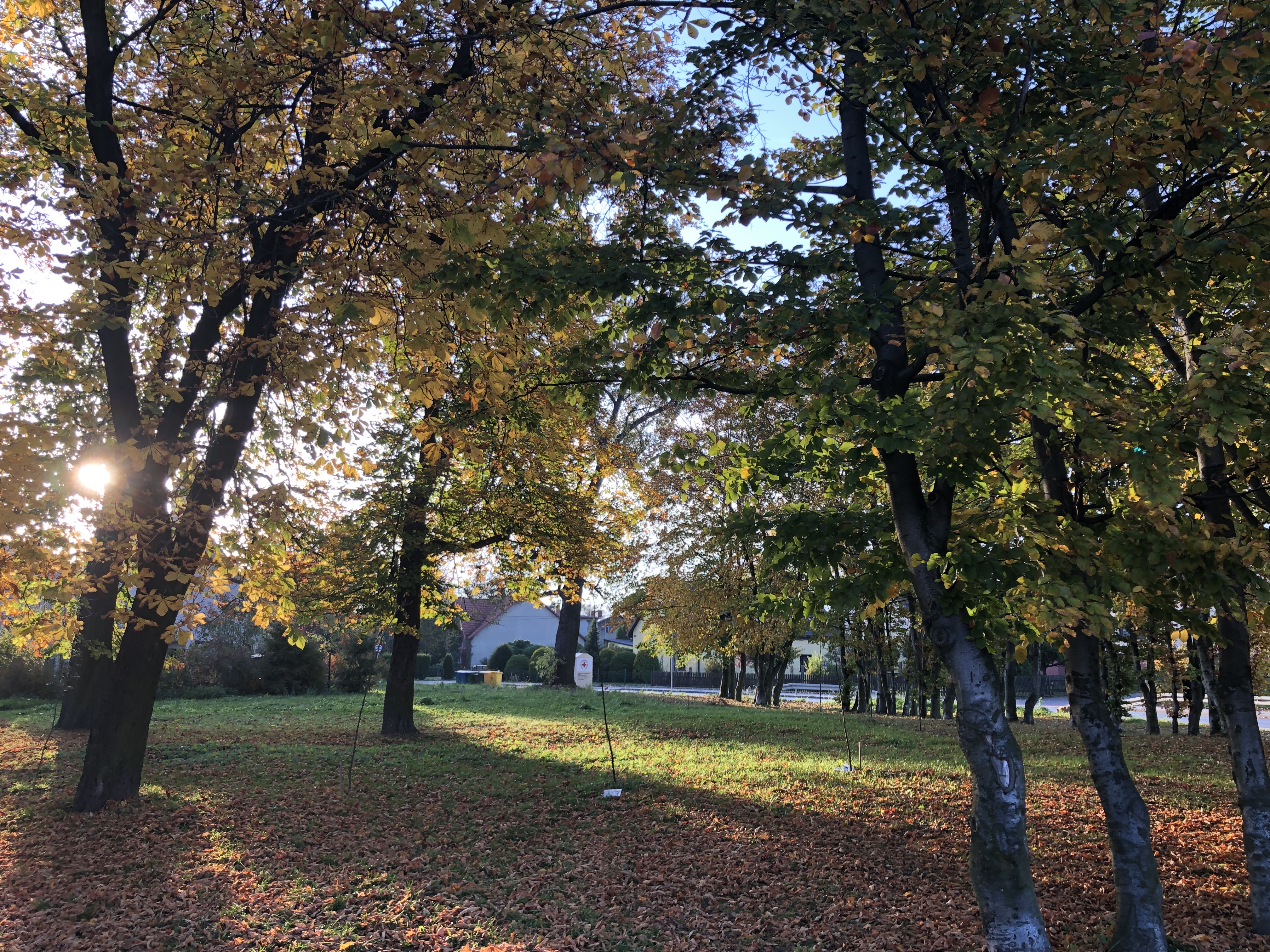 park w Bojkowie