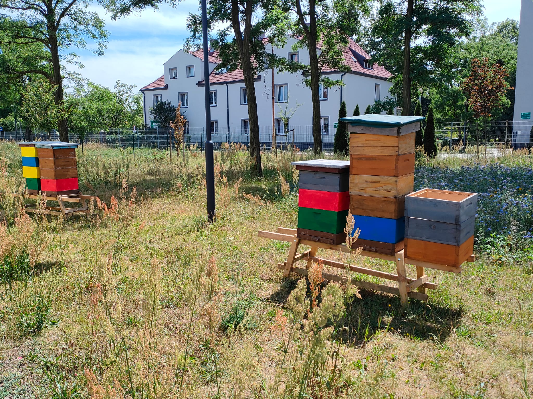 ule na terenie MZUK w Łabędach