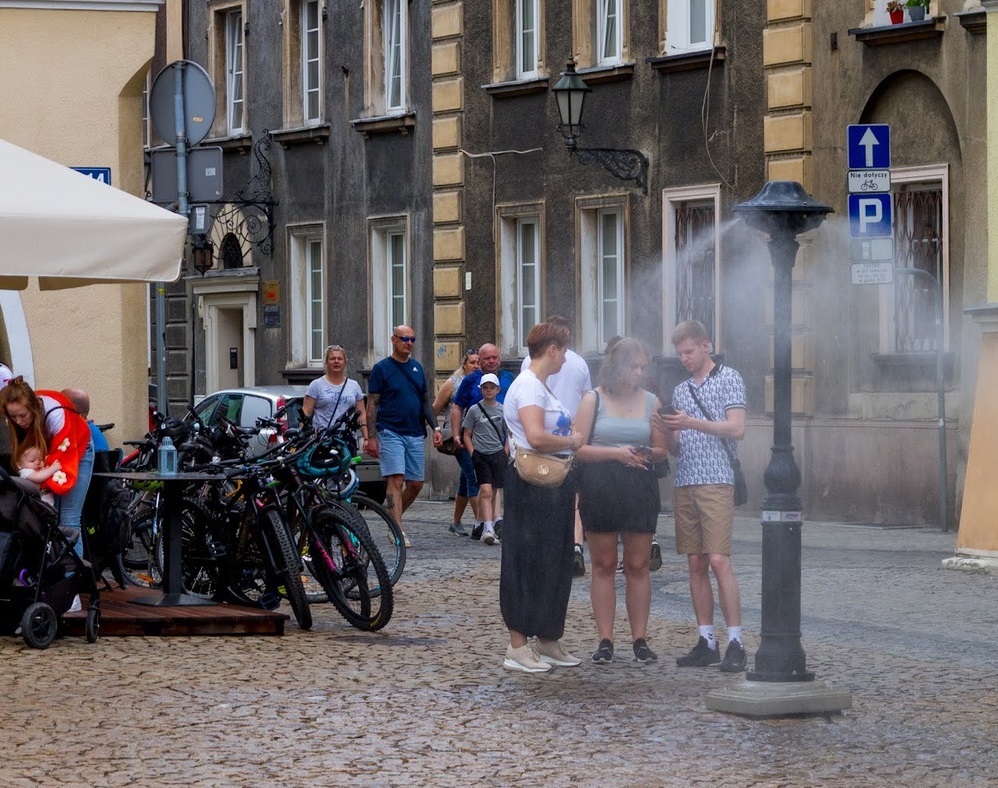 zraszacze Rynek