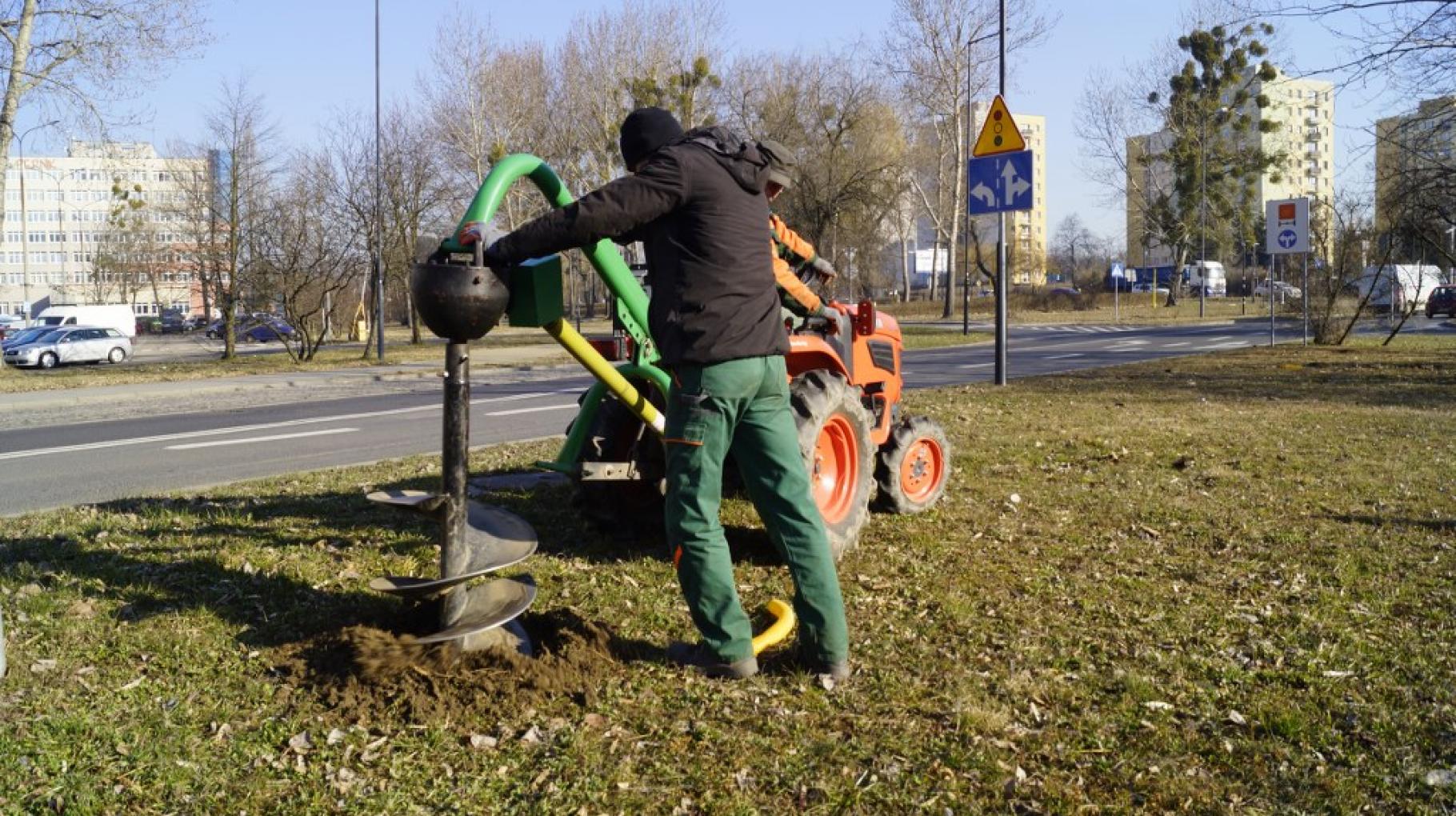 sadzenie drzew przy ul. Pionierów