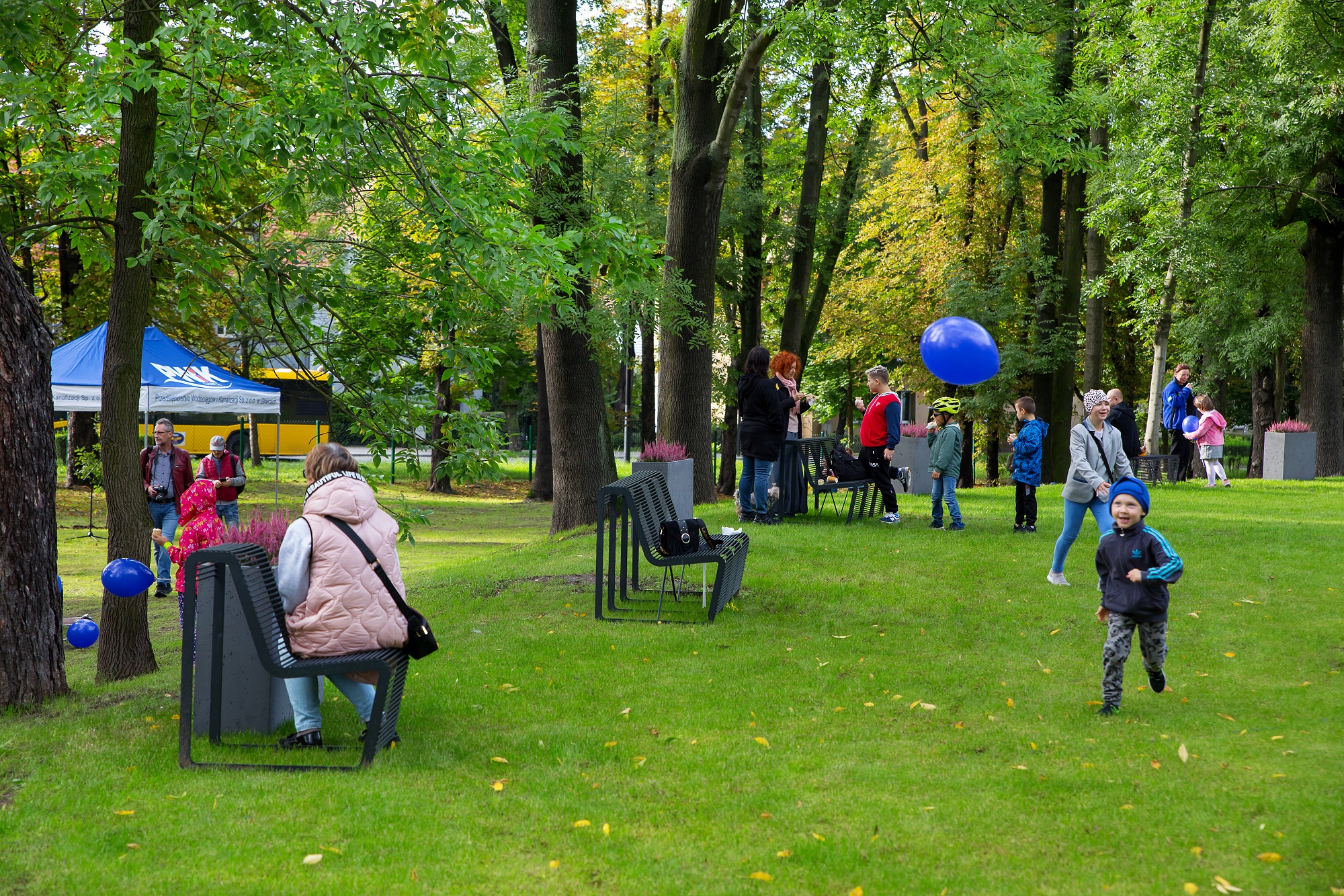 mieszkańcy na zielonej trawie