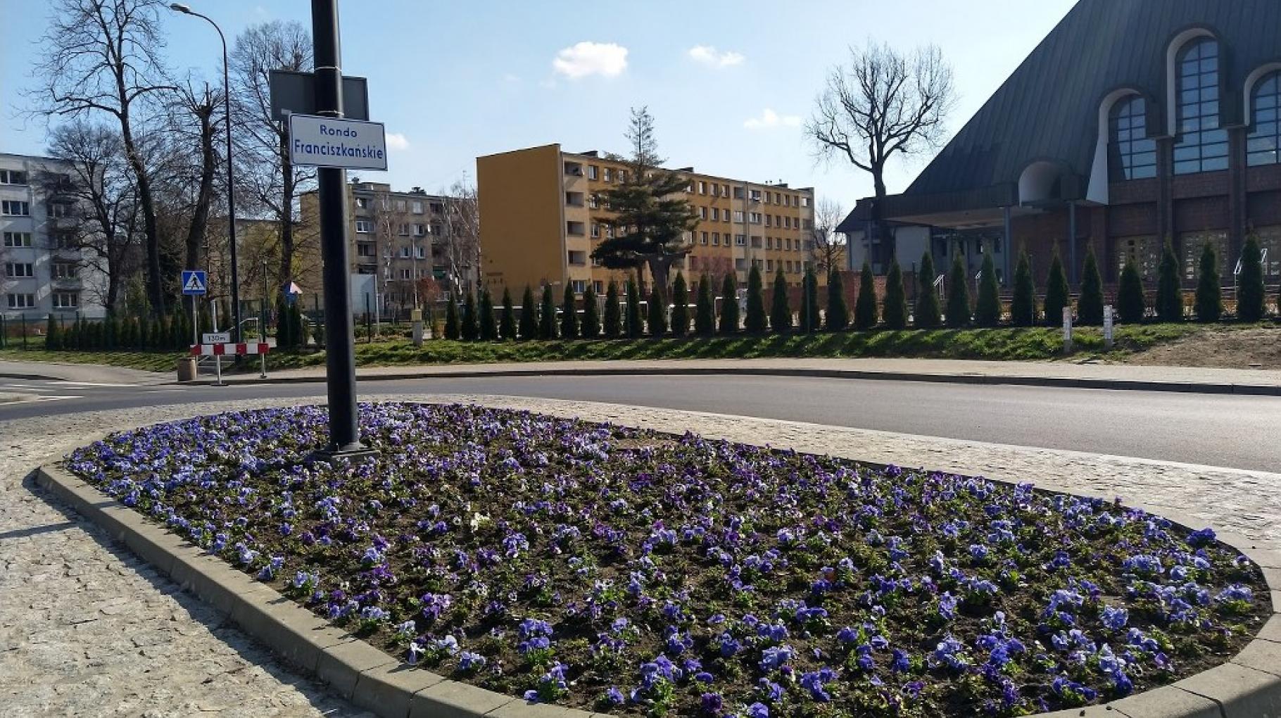 Bratki przy ul. Franciszkańskiej