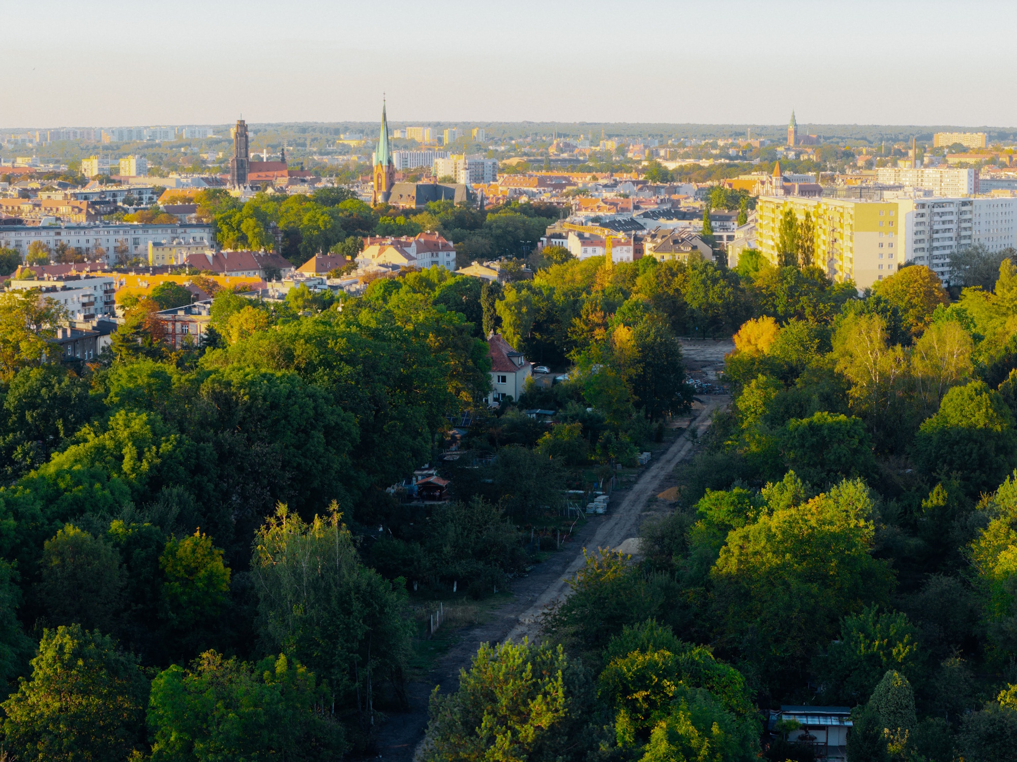 Pierwsze dwa odcinki Alei Noworybnickiej, zgodnie z dotychczasowym harmonogramem, mają być gotowe jeszcze w tym roku.