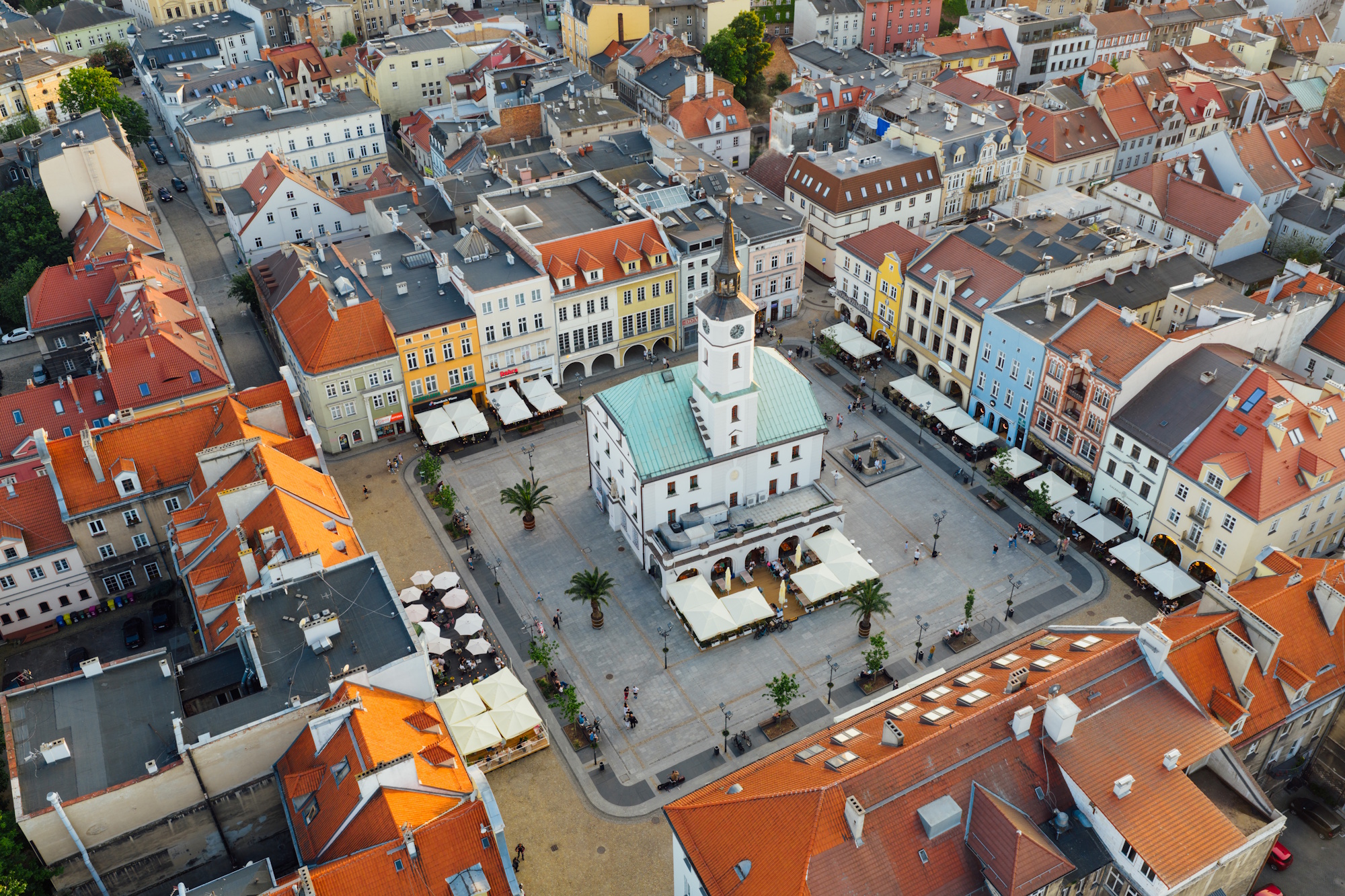 Rynek z palmami, ujęcie z lotu ptaka