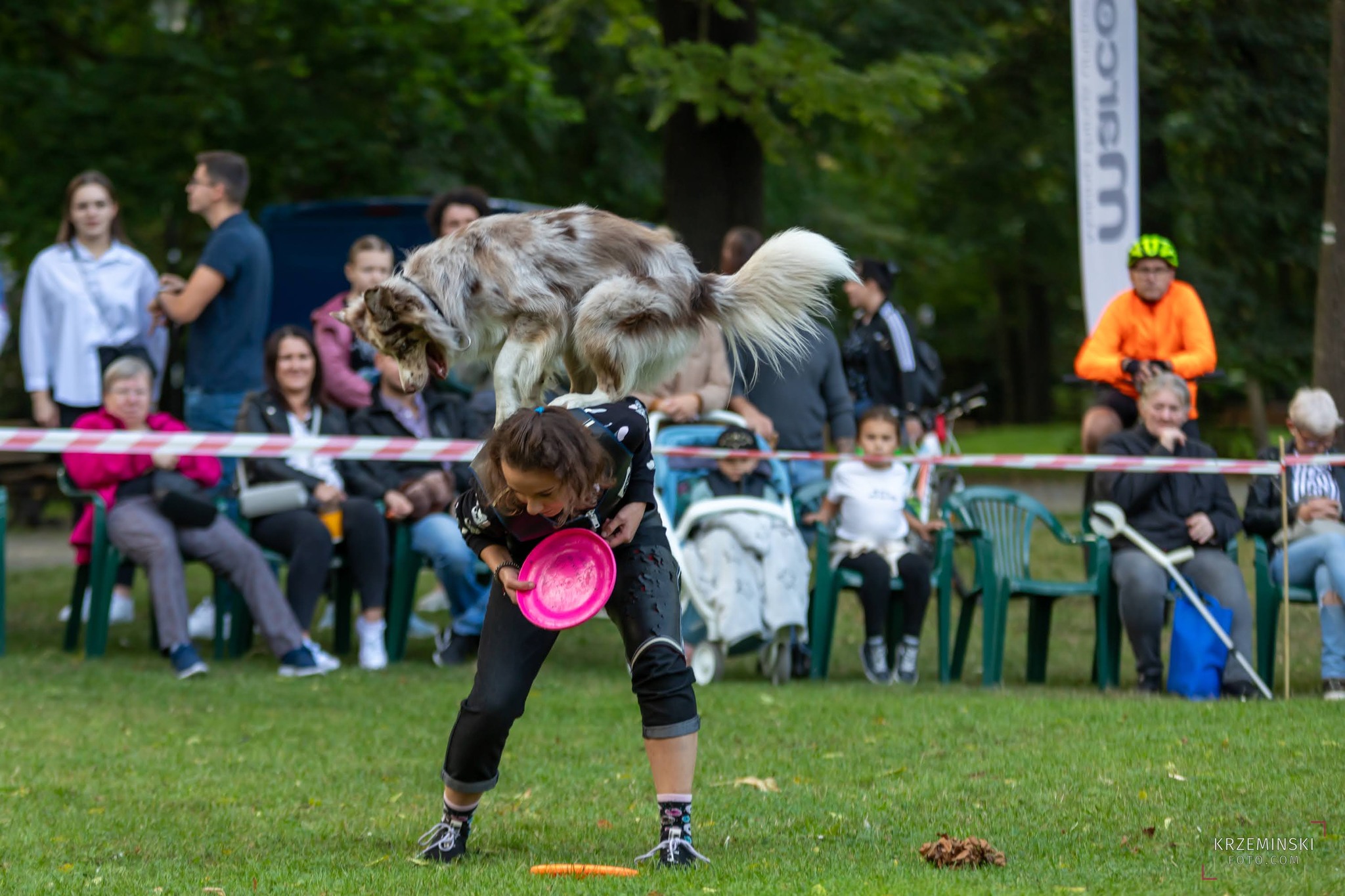 150 kg karmy i dwie adopcje. Sukces wariacji na 4 łapy