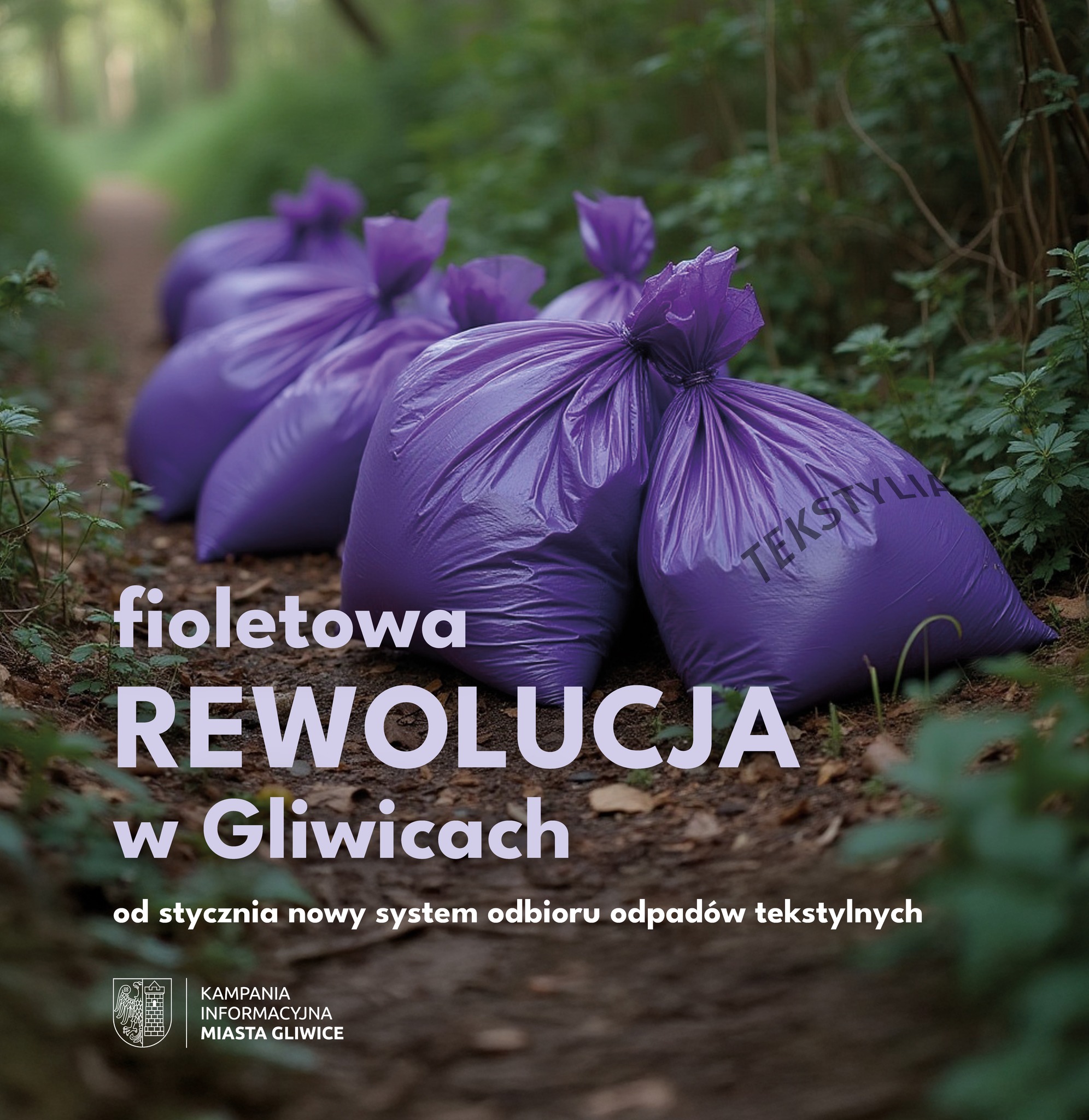 fioletowe worki