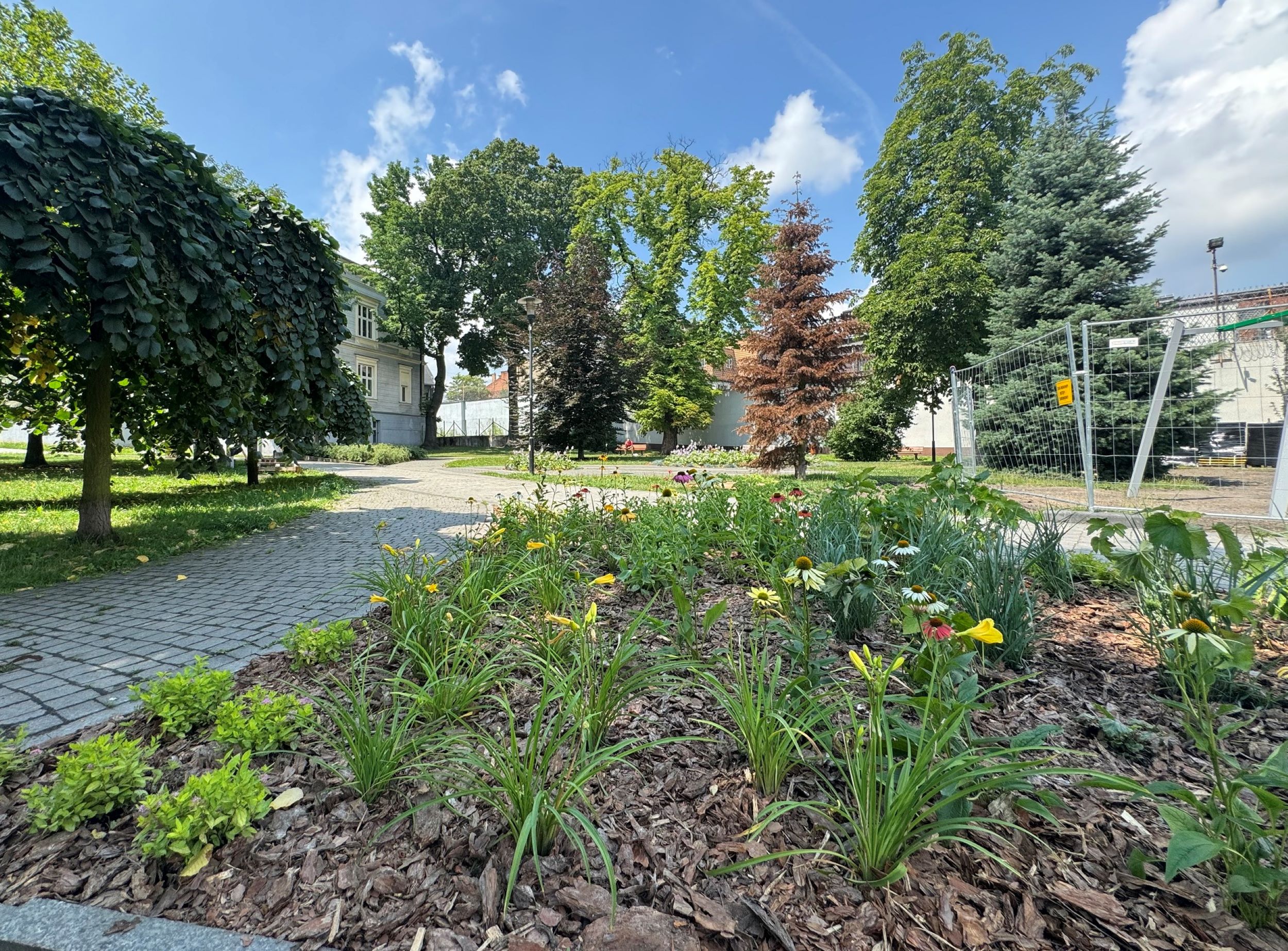 Będzie nowy plac zabaw. Są już rośliny