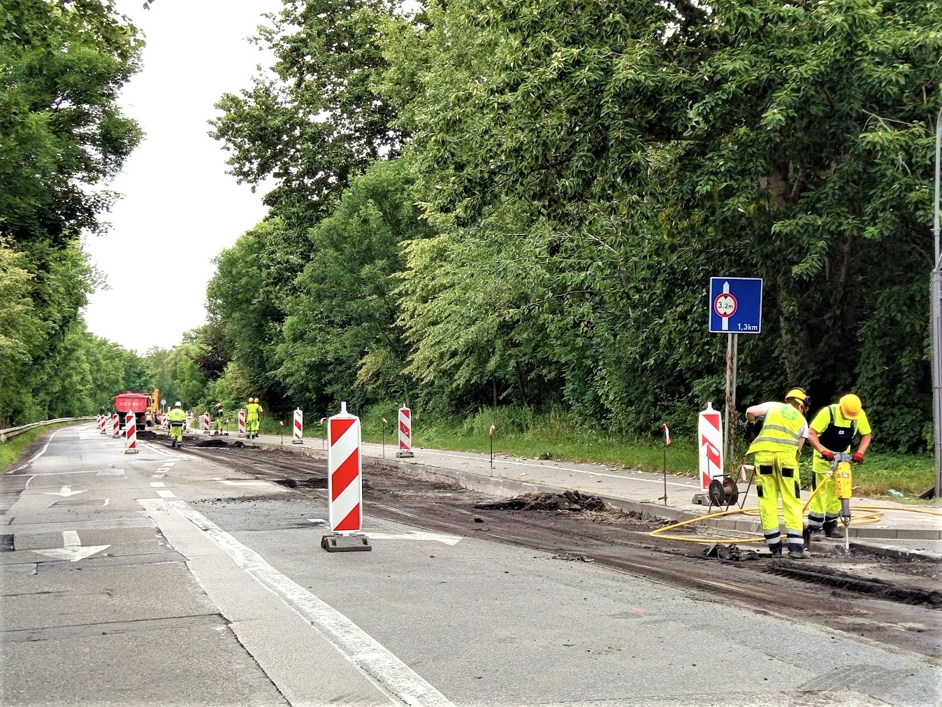 ulica, mężczyźni, zieleń