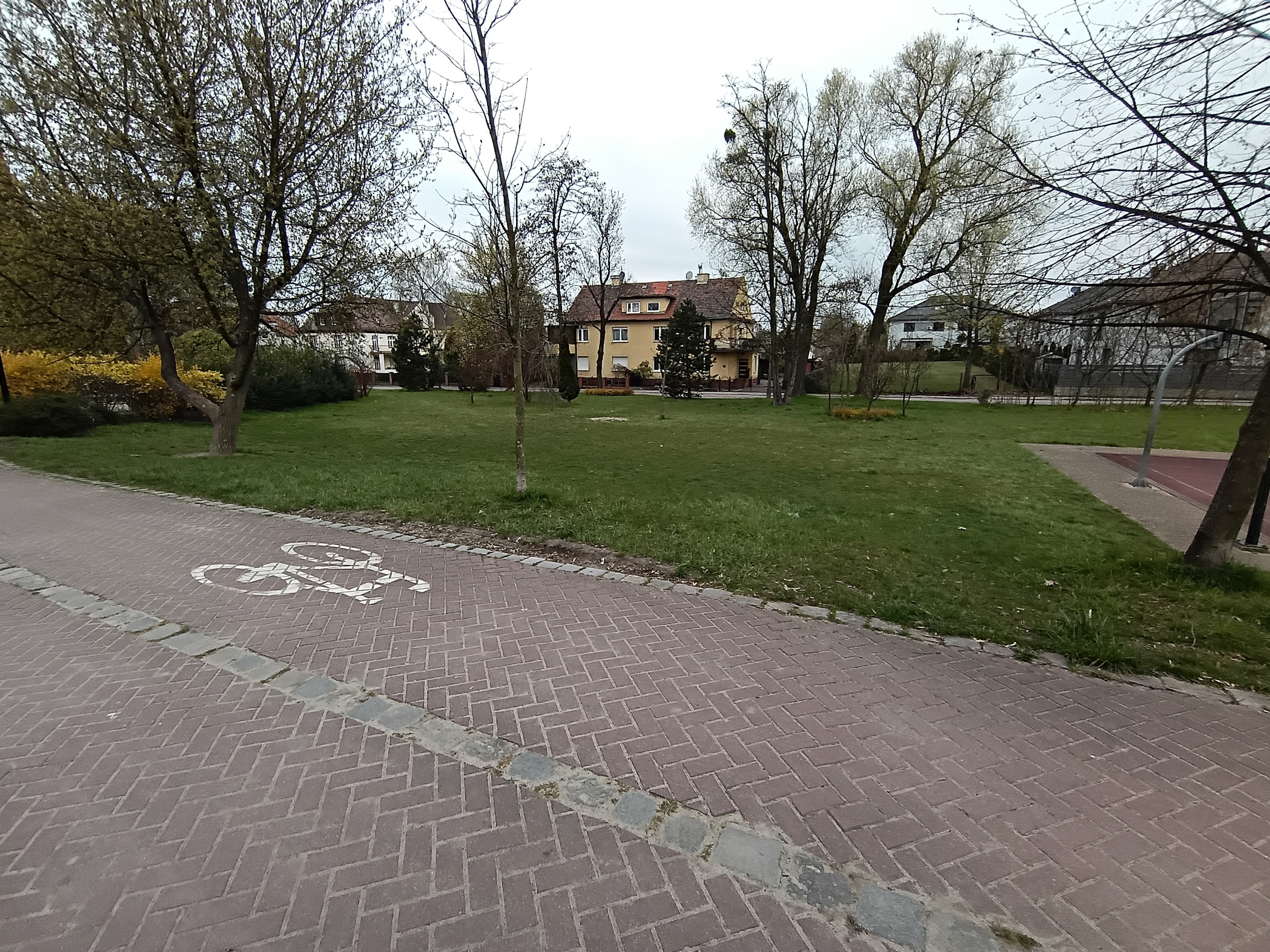 Teren pod Ninja Park przy ul. Narutowicza