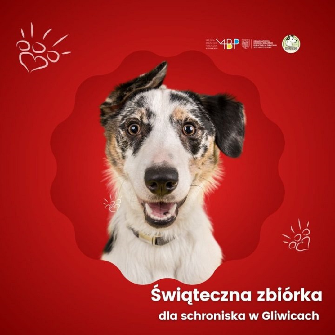 Świąteczna zbiórka dla zwierząt