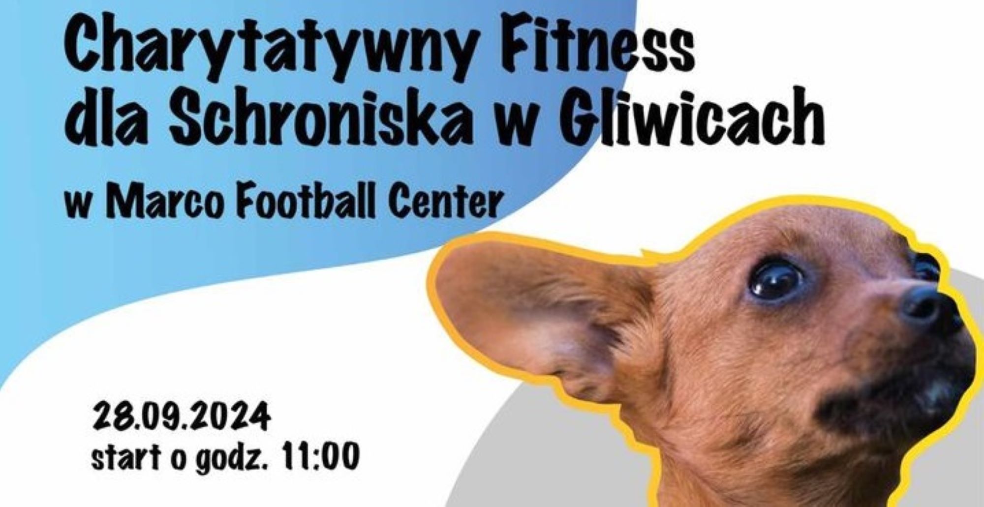 Zdobądź formę i karmę! Charytatywny fitness dla schroniska