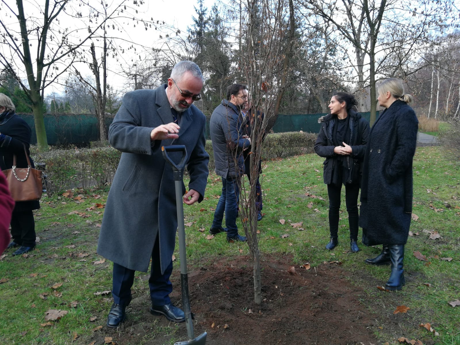 Buk „Karl” posadzony