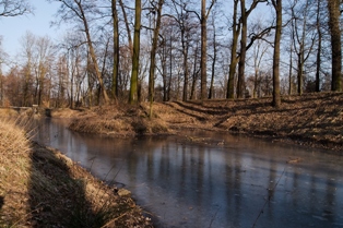 Czekając na wiosnę...