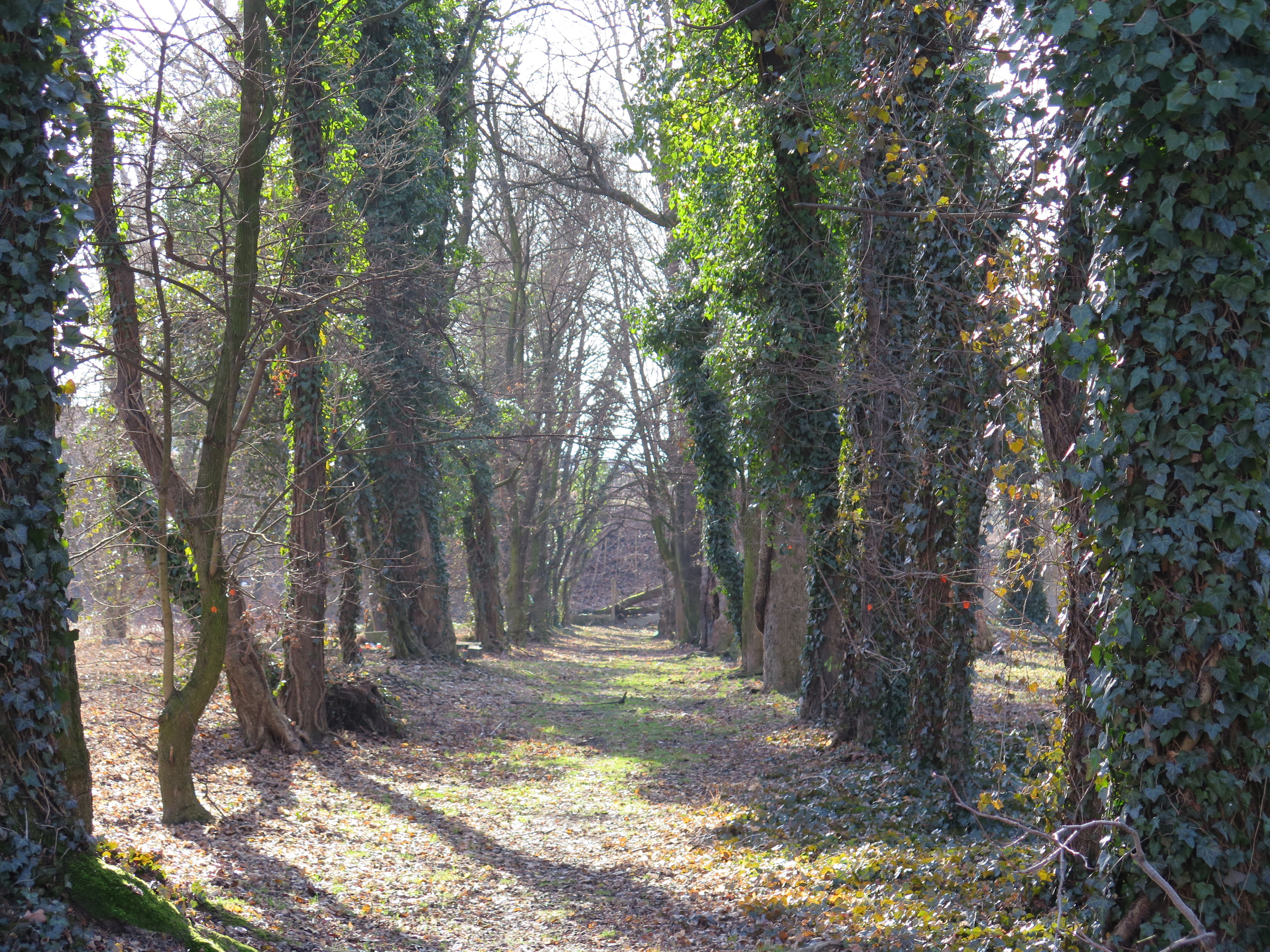 Był cmentarz, będzie park