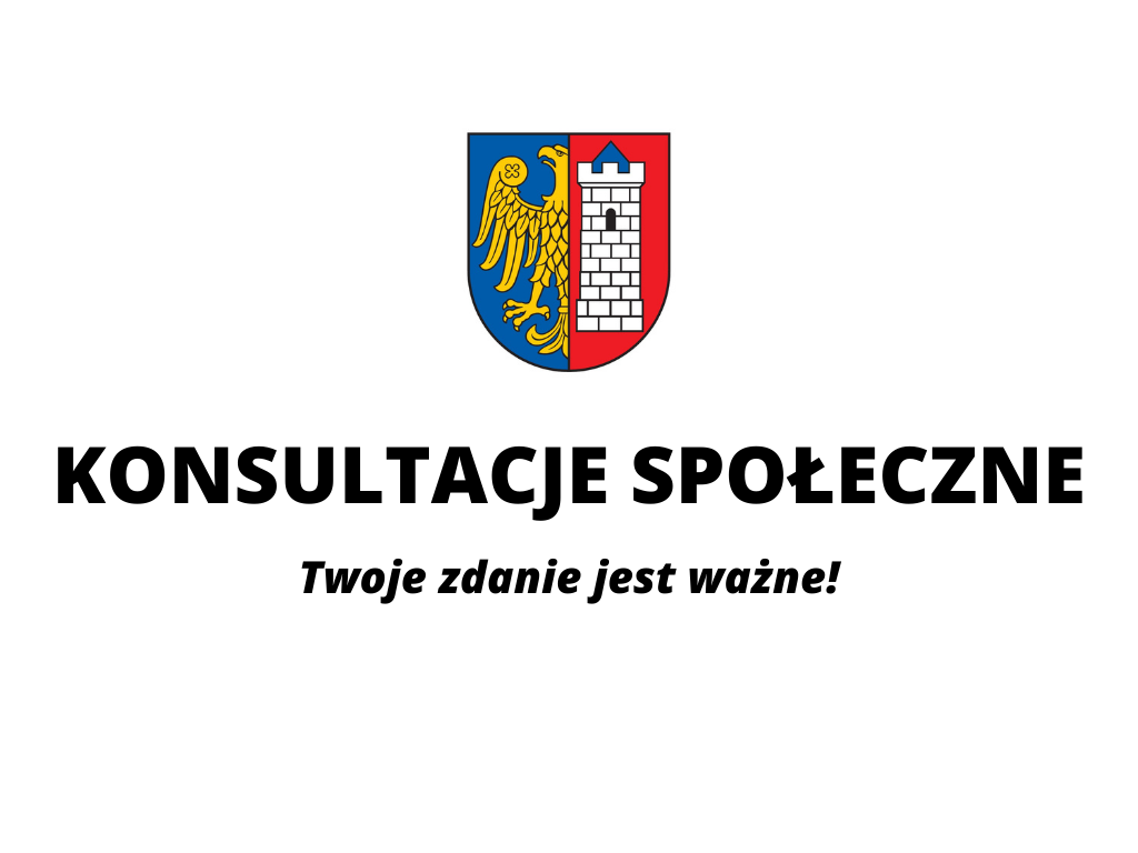 Współpraca z organizacjami pozarządowymi. Jest projekt programu