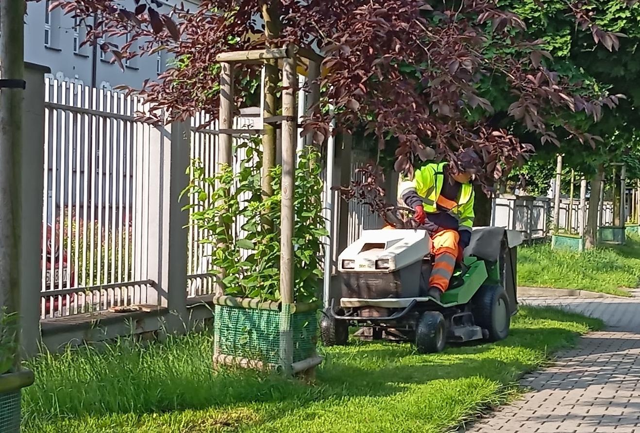 człowiek na kosiarce na trawniku
