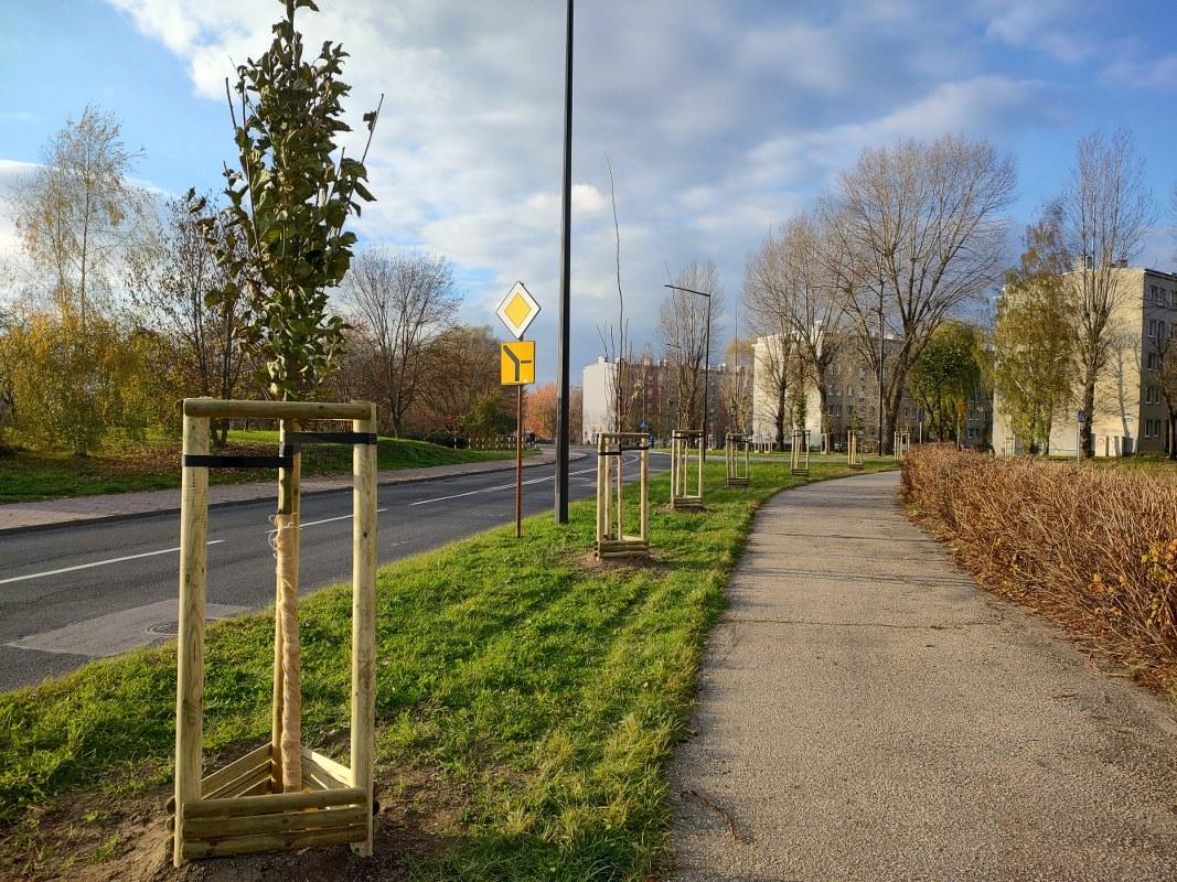 Jesień pod znakiem zieleni