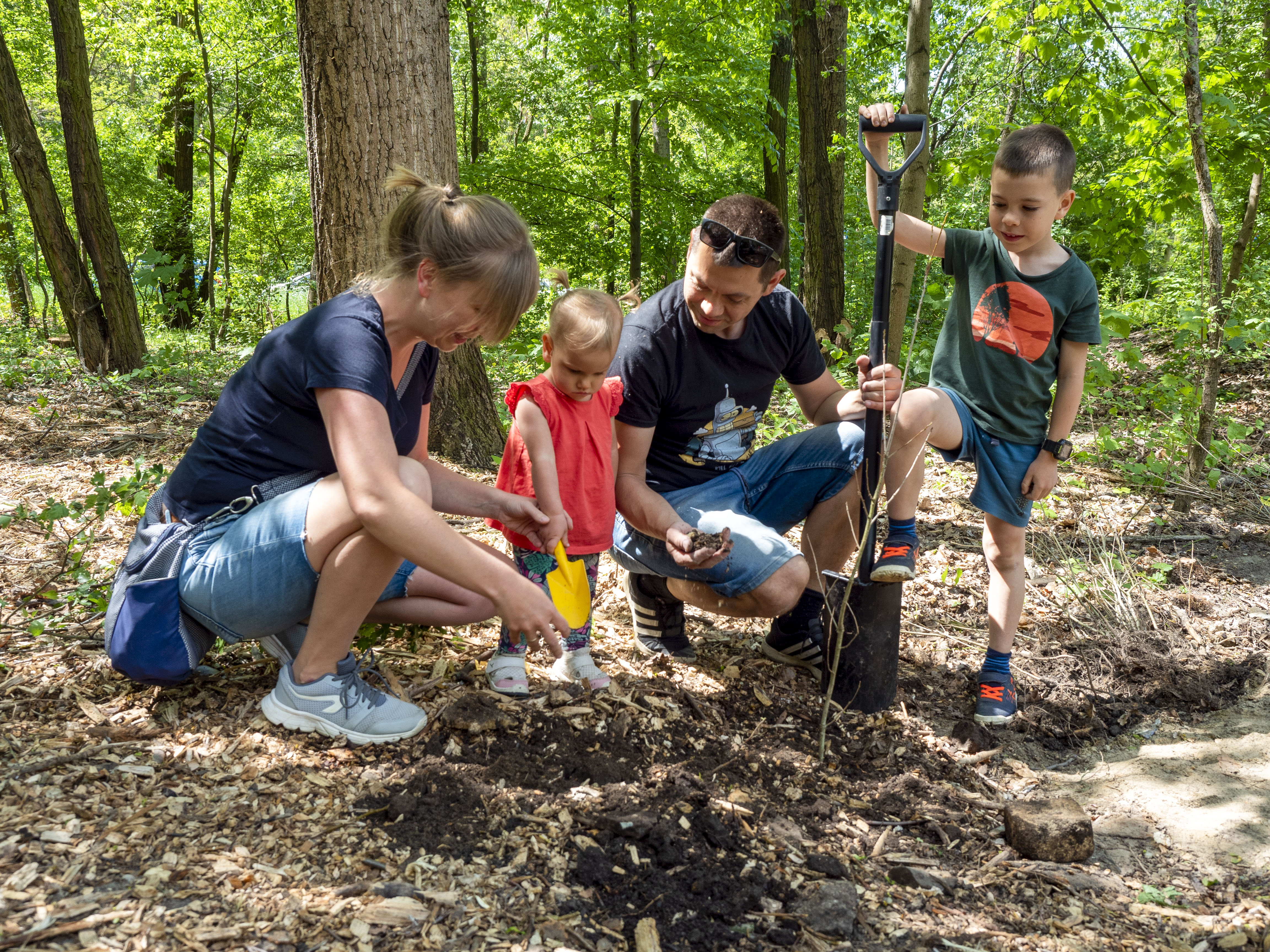 #zielonegliwice: 300 dębów posadzono w dzielnicy Kopernika