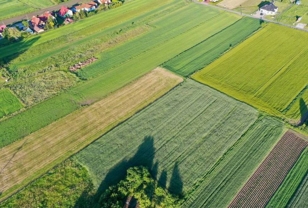 Śmierdząca sprawa