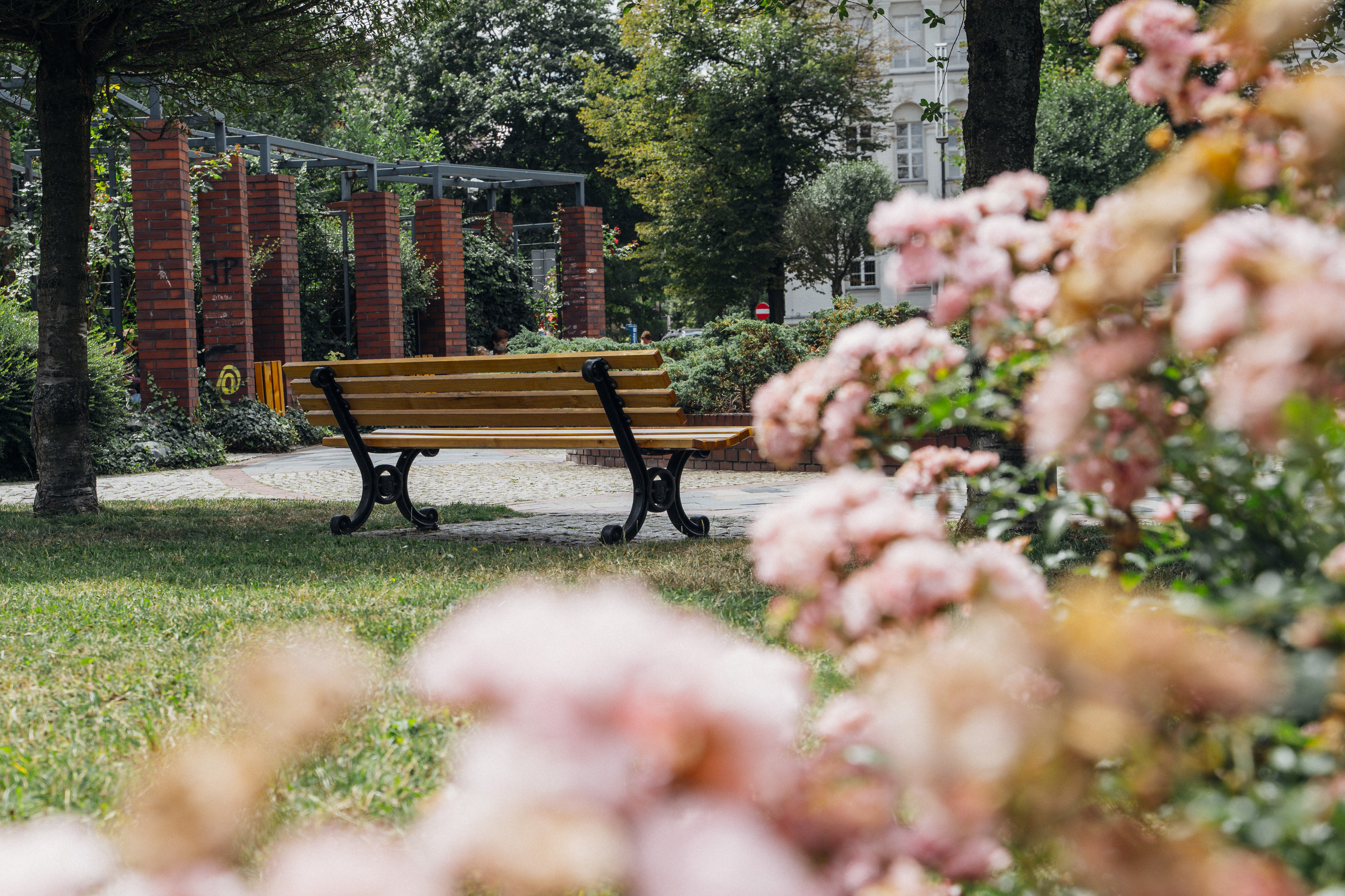 Gliwice stawiają na zieleń