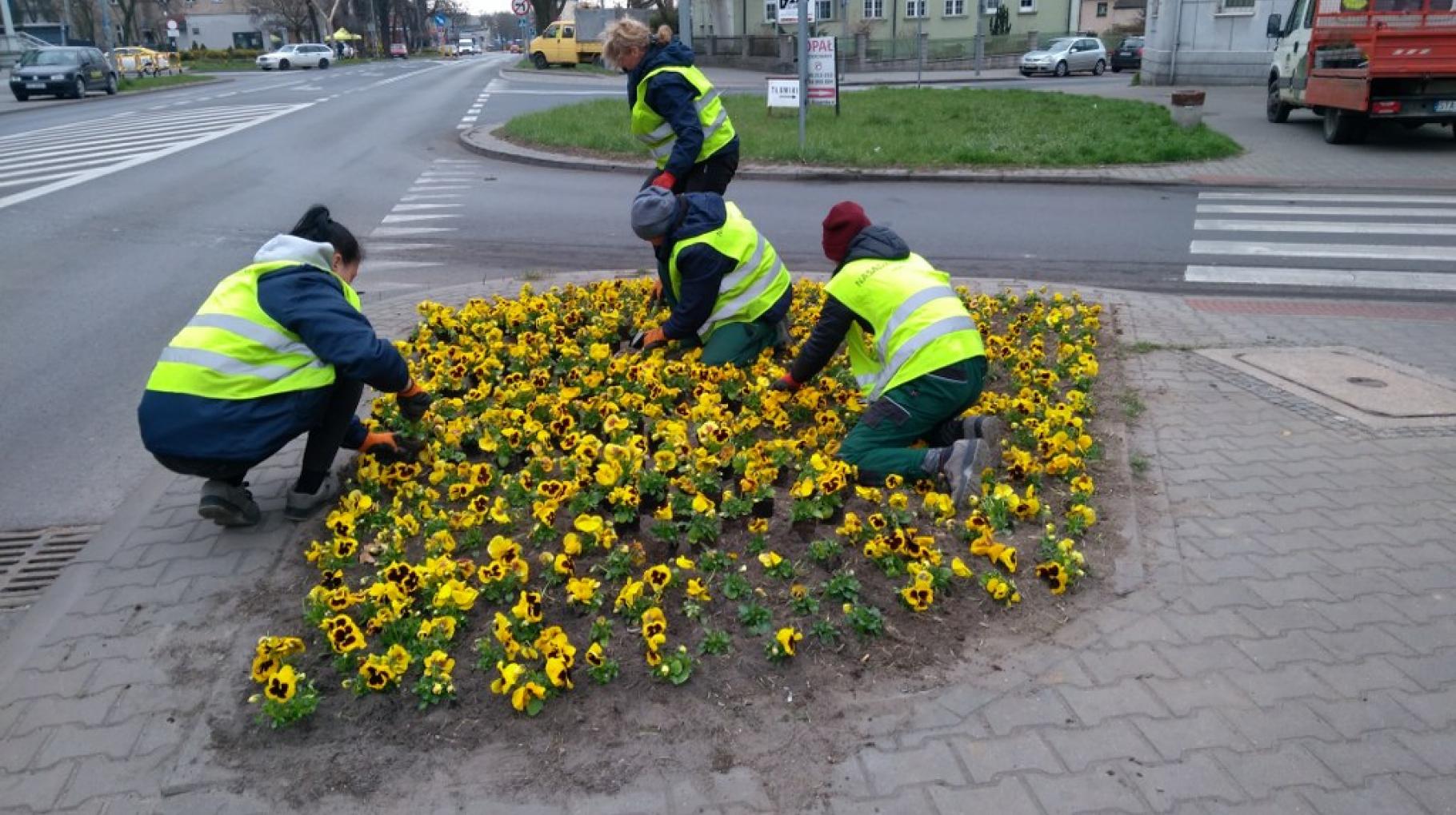 Kwiatki, bratki i…