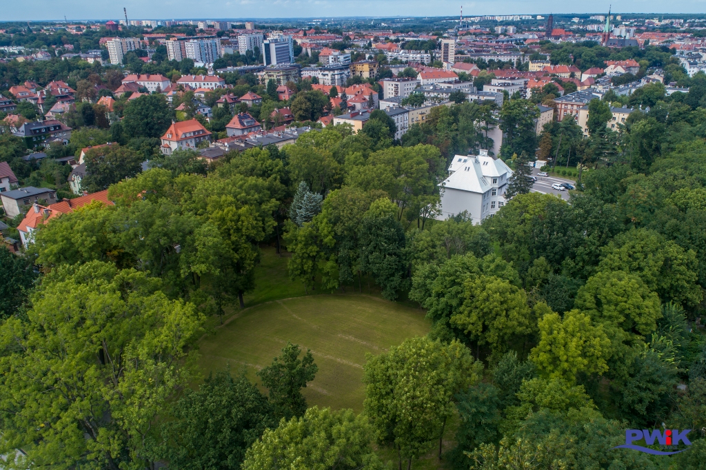 Zazieleniamy Gliwice 