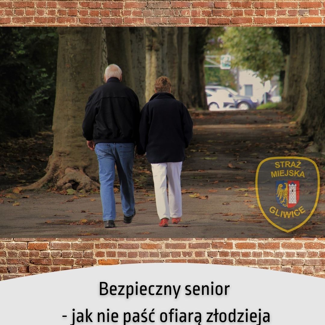 Bezpieczny senior